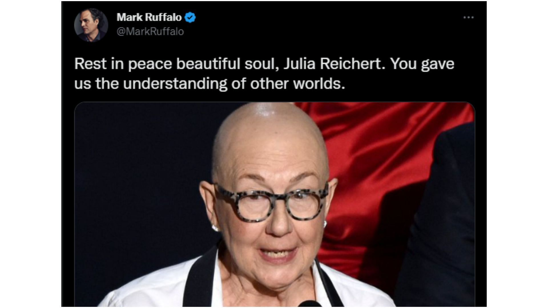 Screenshot of a tribute to Julia Reichert.