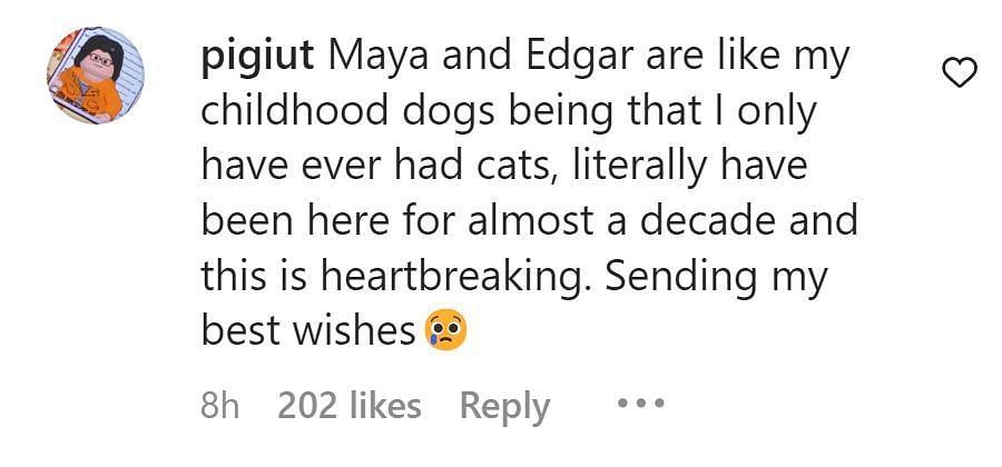 Image showing a comment paying tribute to Maya (image via Instagram/ @pigiut) 