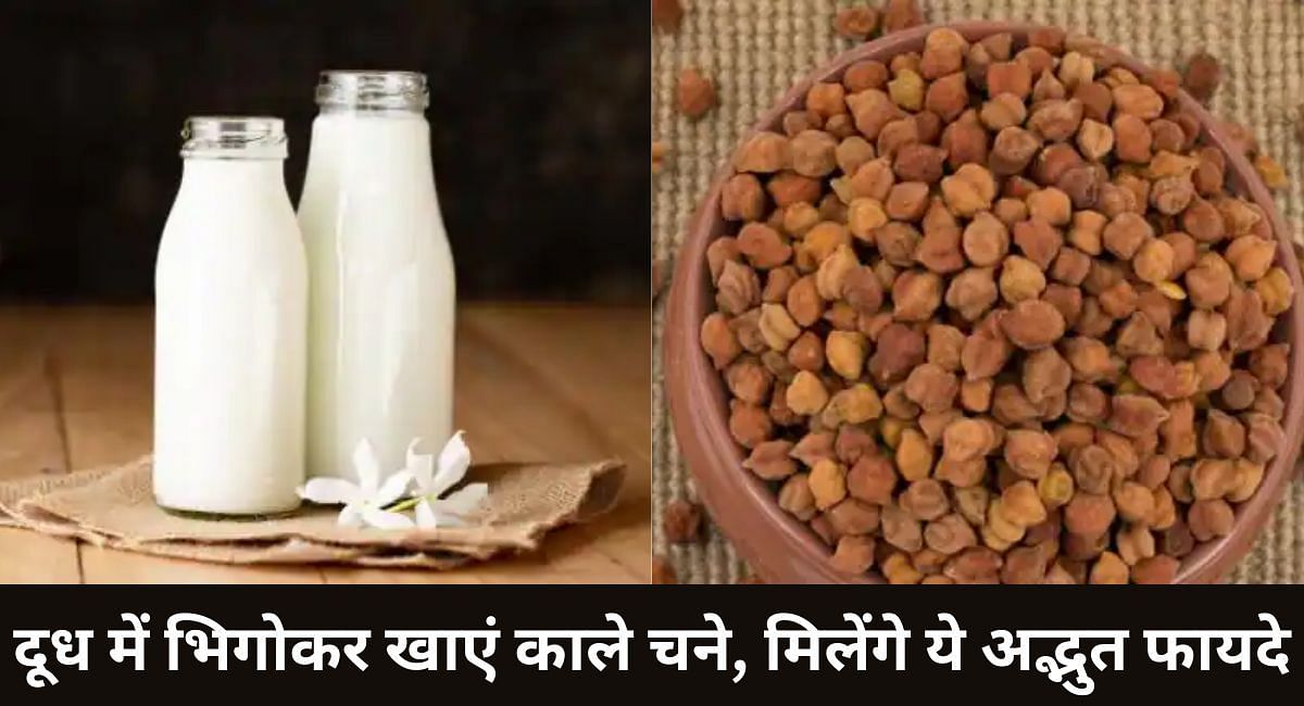 दूध में भिगोकर खाएं काले चने, मिलेंगे ये अद्भुत फायदे(फोटो-Sportskeeda hindi)