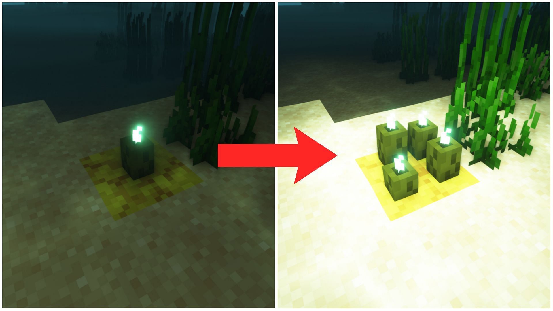 Growing more sea pickles in Minecraft is easy (Image via Mojang)