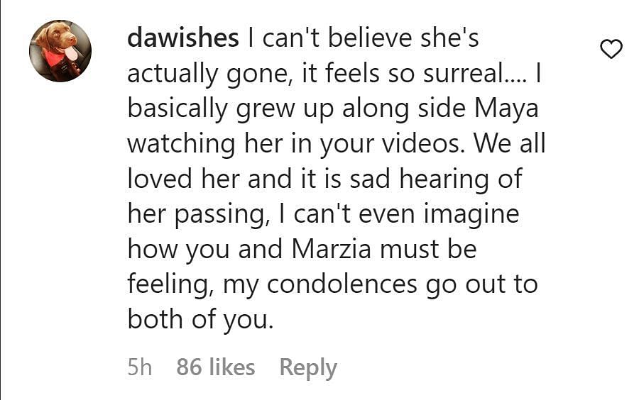 Image showing a comment paying tribute to Maya (image via Instagram/ @dawishes)