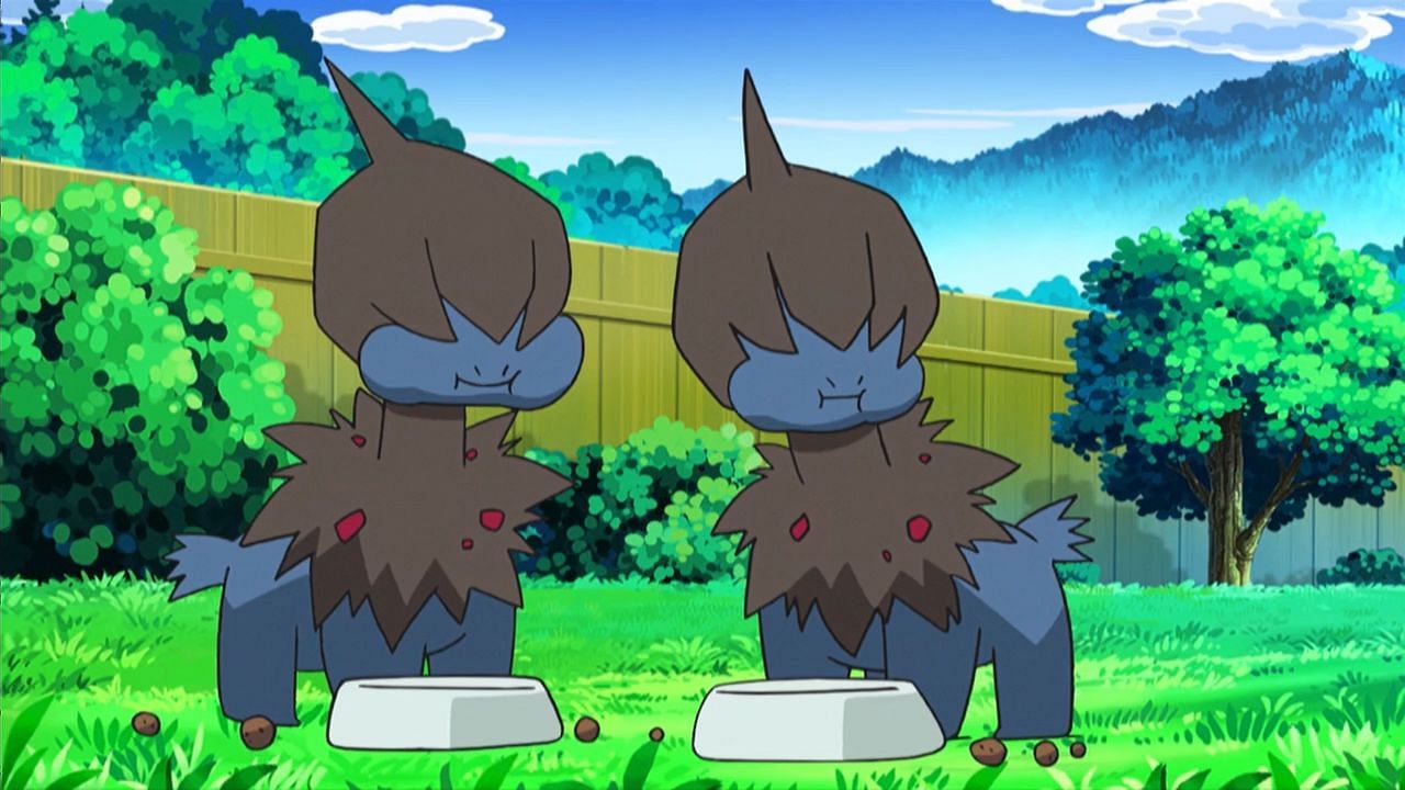 Deino as it appears in the anime (Image via The Pokemon Company)