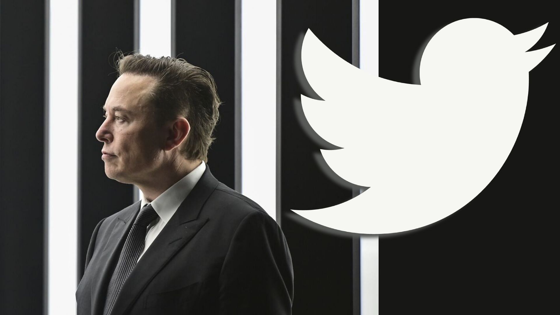Will Elon Musk step down from Twitter CEO? (Image via Sportskeeda)