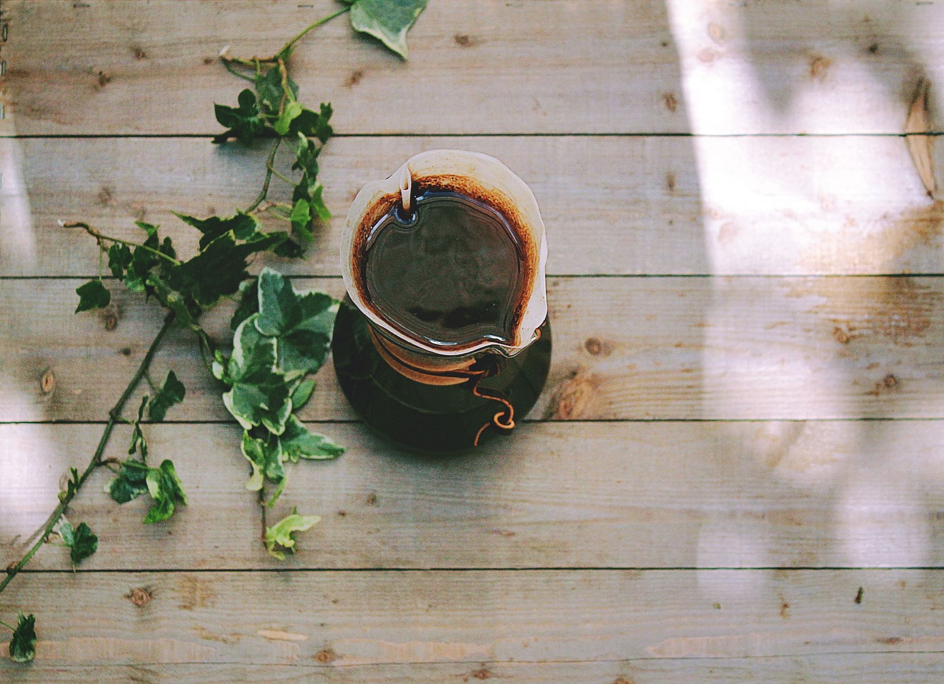 Dandelion coffee can protect the liver from oxidative stress (Image via Unsplash/Toa Heftiba)