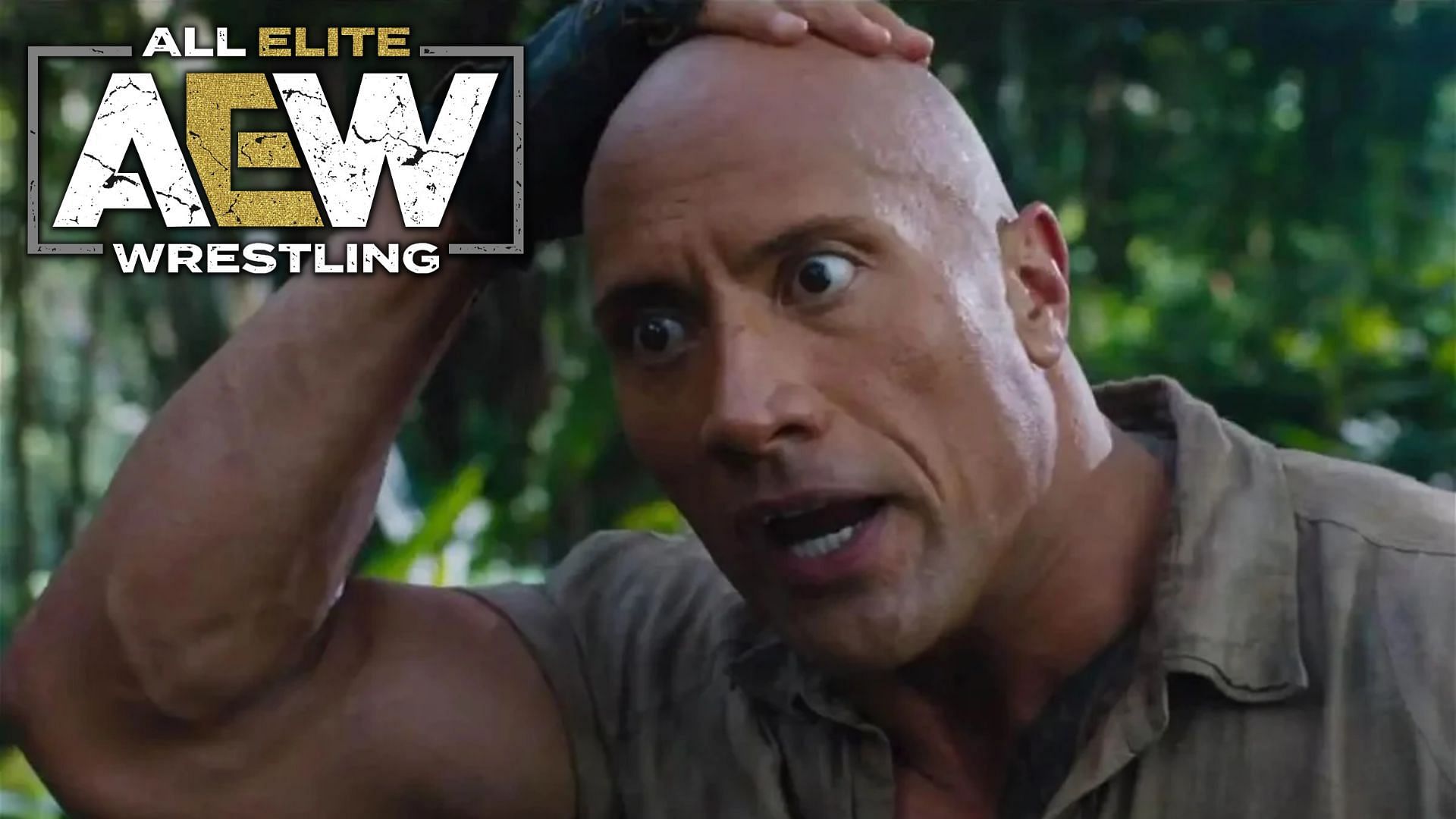 The Rock has had a monumental wrestling career.