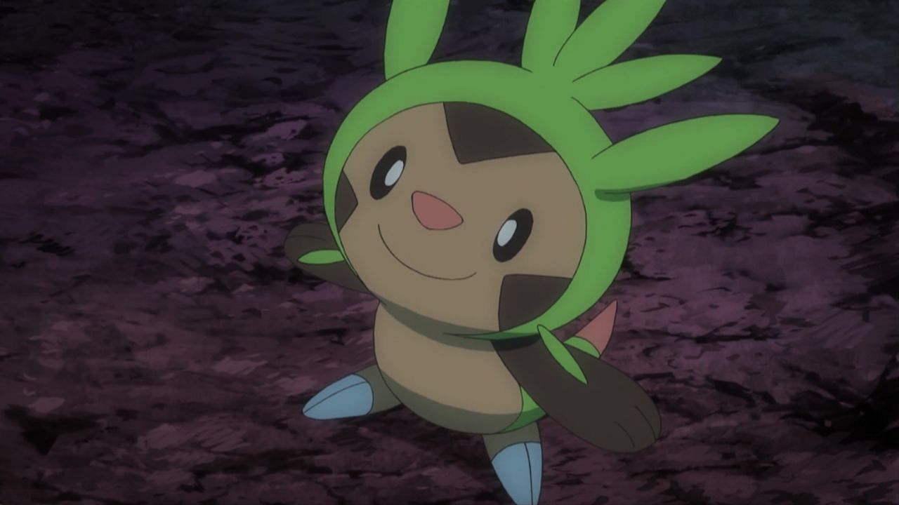 Chespin as it appears in the anime (Image via The Pokemon Company)