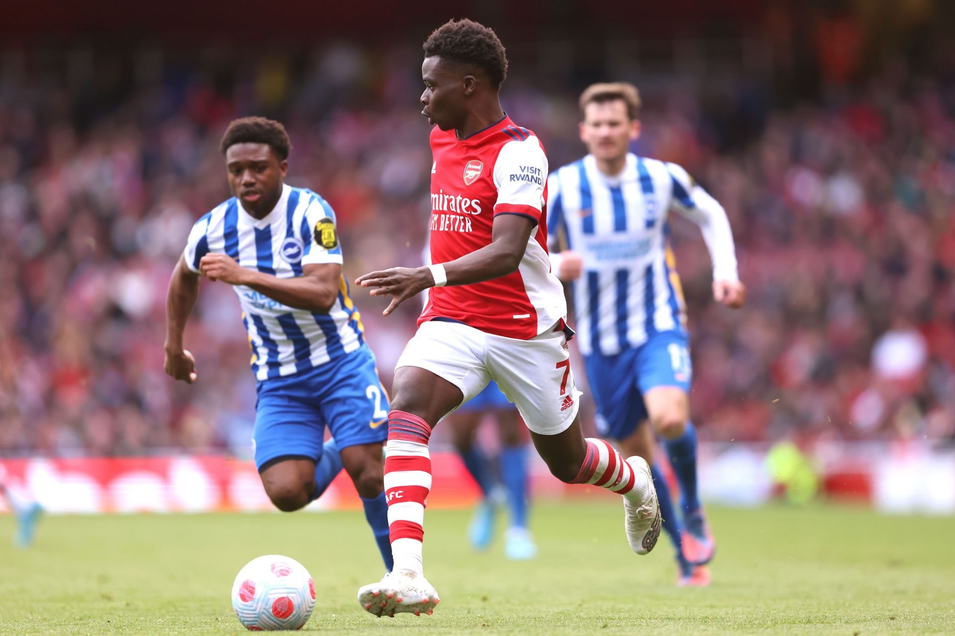 Arsenal vs Brighton & Hove Albion prediction, odds and betting