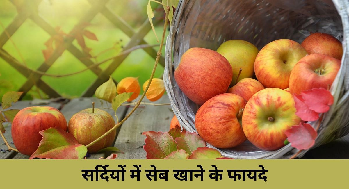 सर्दियों में सेब खाने के फायदे(फोटो-Sportskeeda hindi)