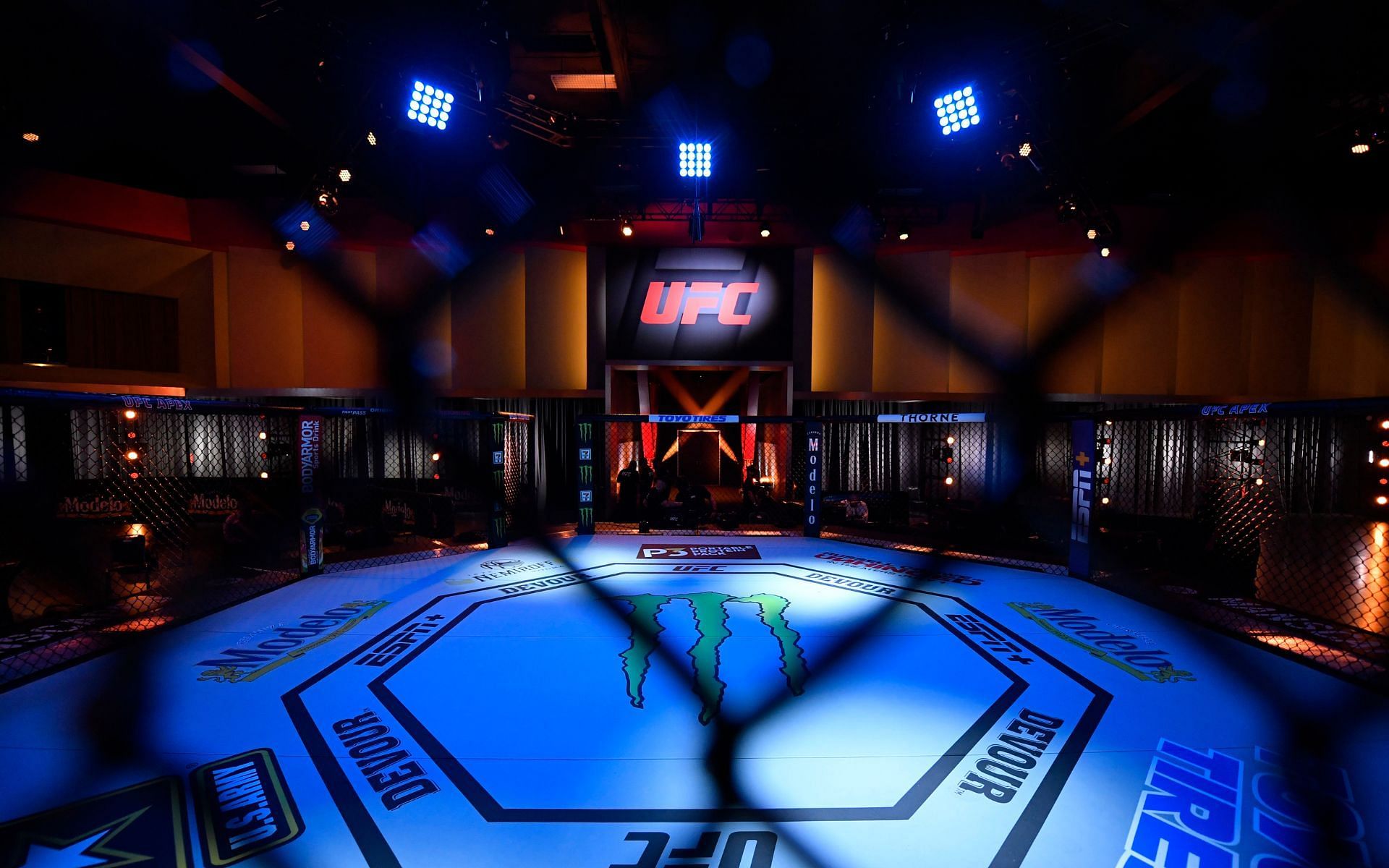 The famed UFC octagon before one of the fight events