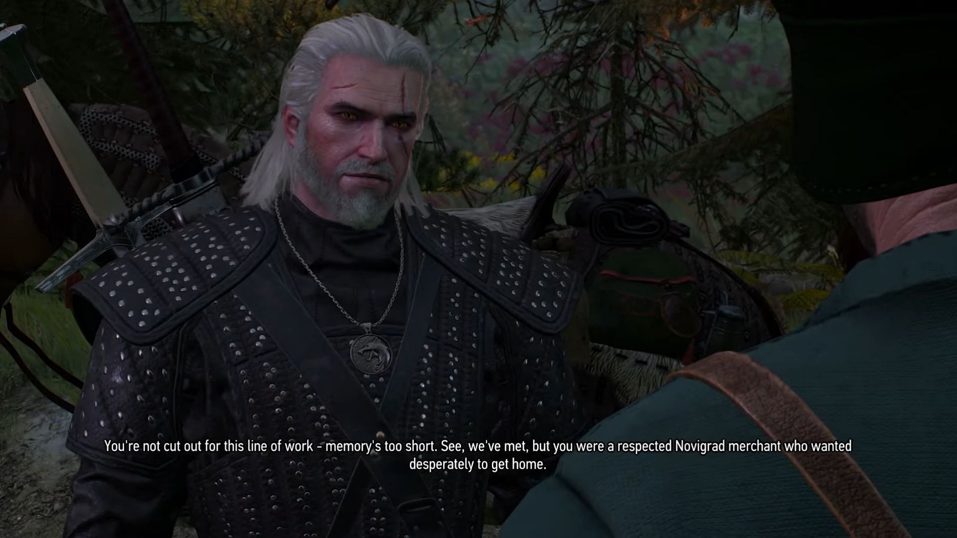 Geralt pictured with the new armor set (Image via YouTube/MrHulthen)