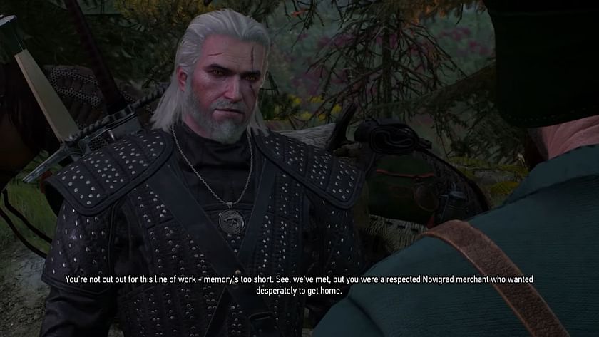 Forward flip. :: The Witcher: Enhanced Edition General Discussions