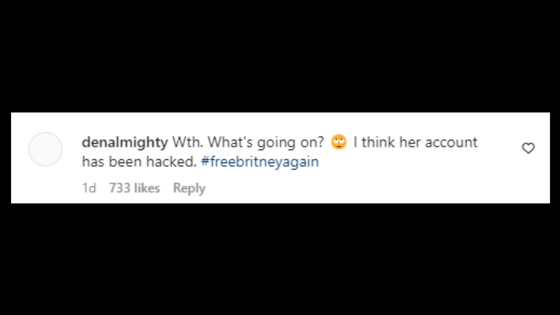 A fan comments under Britney&#039;s post (Image via @britneyspears/Instagram)