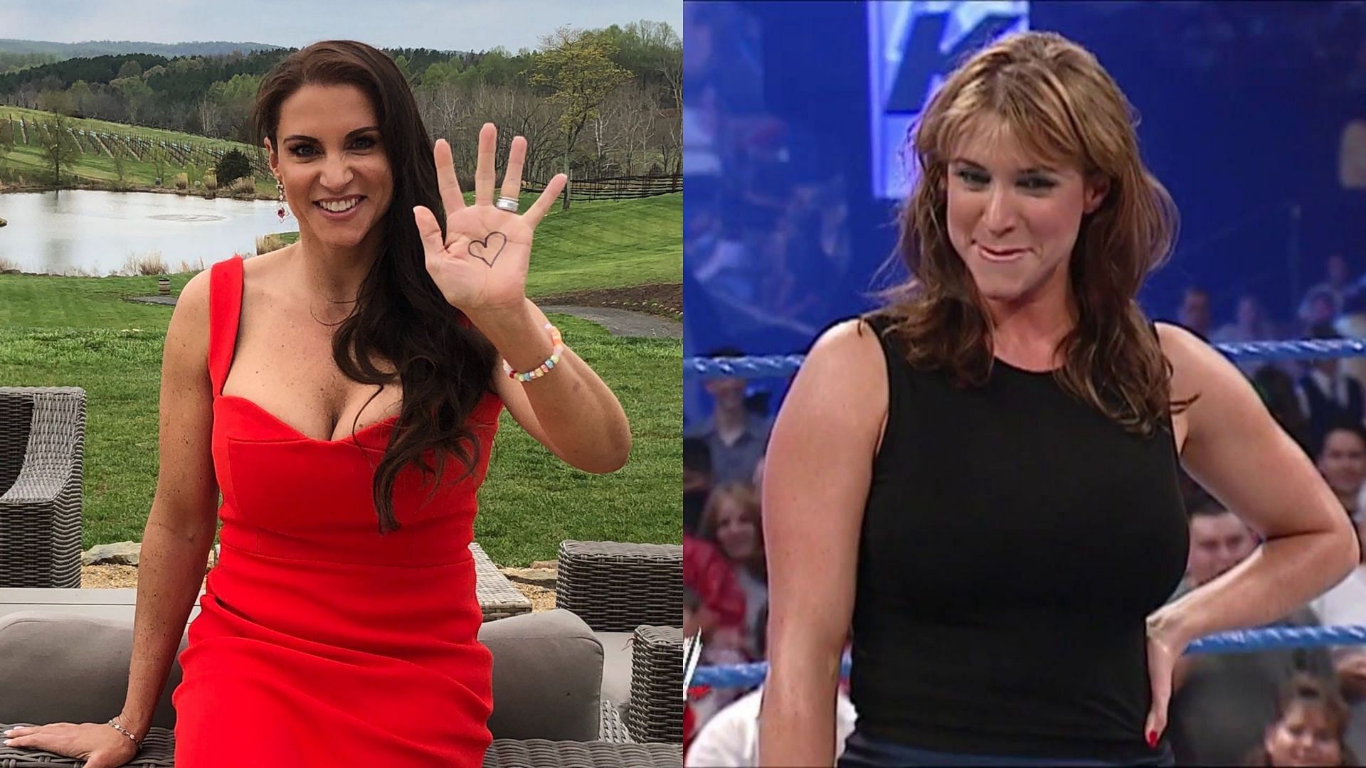 Stephanie Mcmahon, seeing this was really enjoyable back then : r