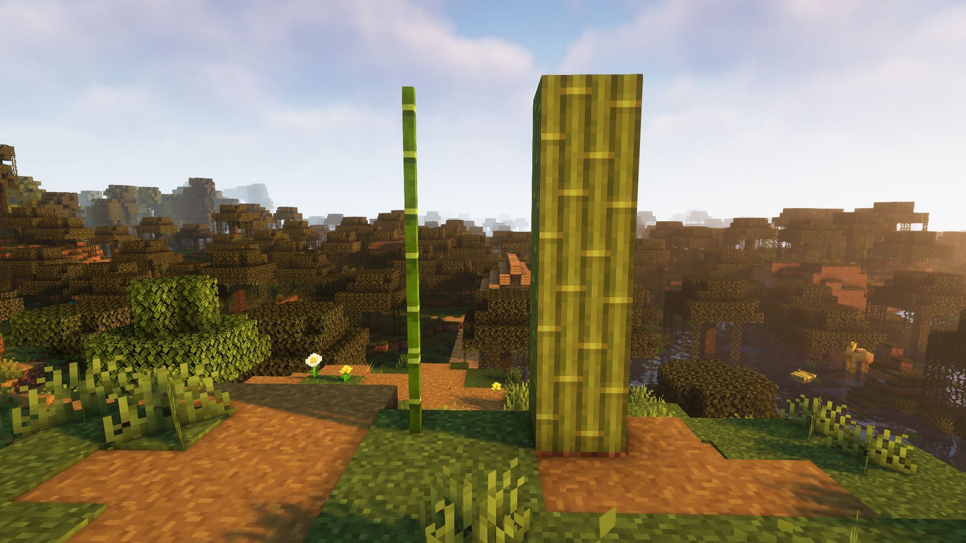 Blocks of bamboo next to regular bamboo (Image via Mojang)