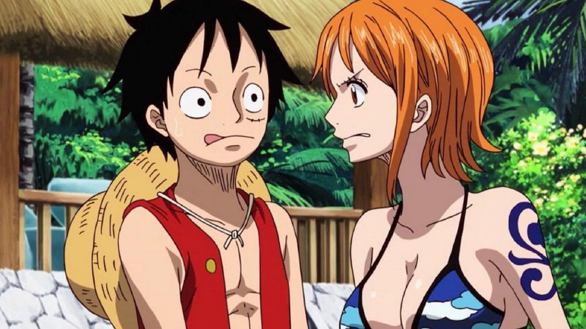 nami and luffy fighting