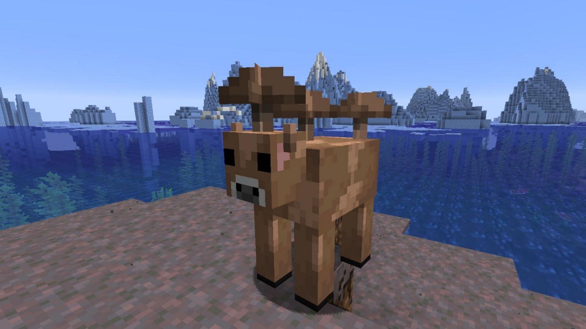 Brown Mooshroom is arguably the rarest mob in Minecraft Bedrock (Image via Twitter/@mcbedrockcom)