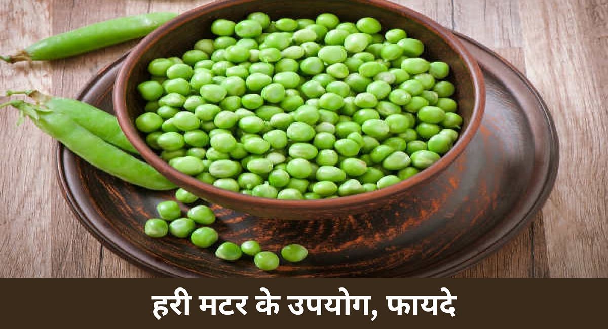 हरी मटर के उपयोग, फायदे(फोटो-Sportskeeda hindi)