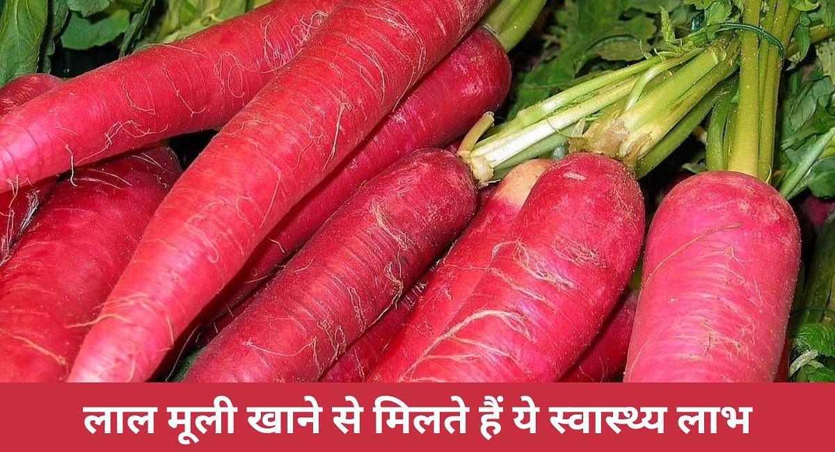 लाल मूली खाने से मिलते हैं ये स्वास्थ्य लाभ(फोटो-Sportskeeda hindi)