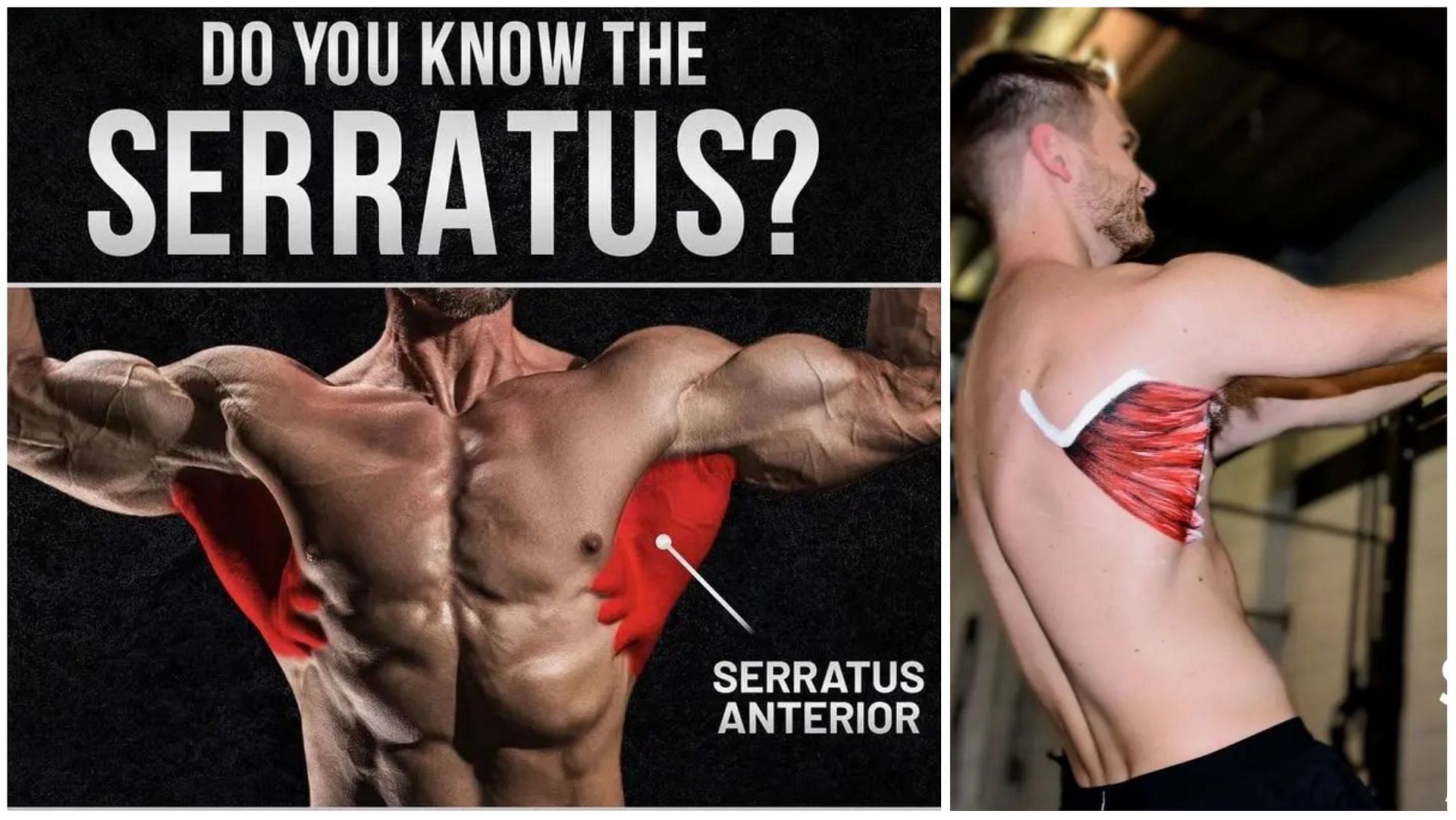 Why Do You Need To Train The Serratus Anterior Muscle? (Image via Instagram @gym.point8 @motus.movement.therapy)