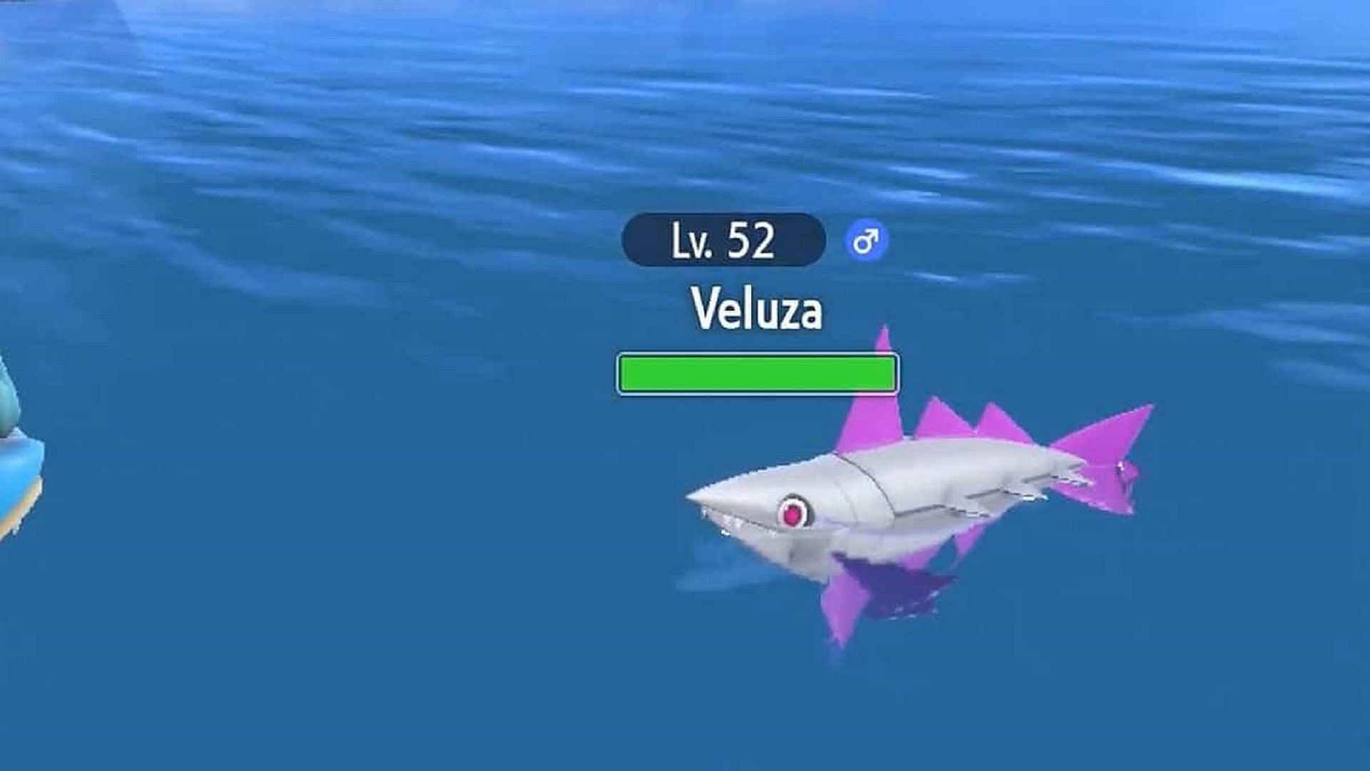 Veluza in the wild in Pokemon Scarlet and Violet (Image via Game Freak)