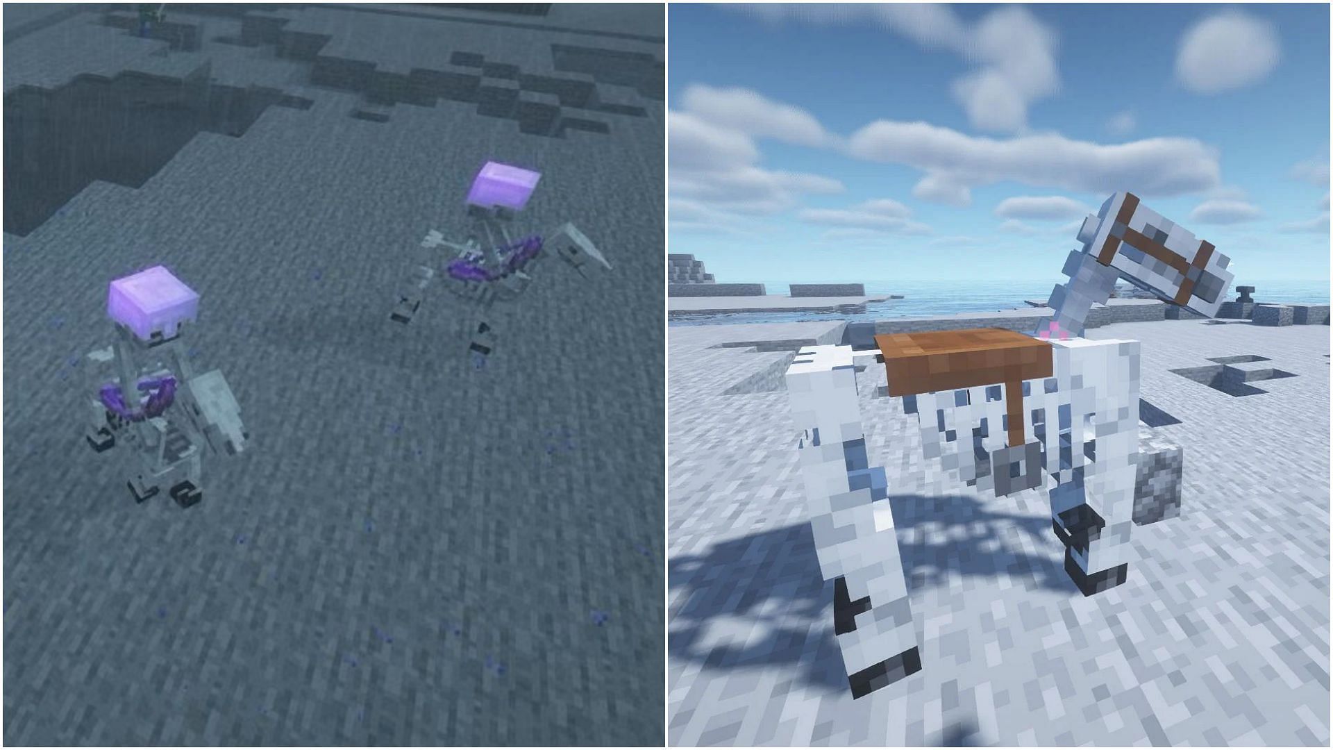 Skeleton horse can only be obtained after fighting the skeleton trap in Minecraft 1.19 (Image via Sportskeeda)