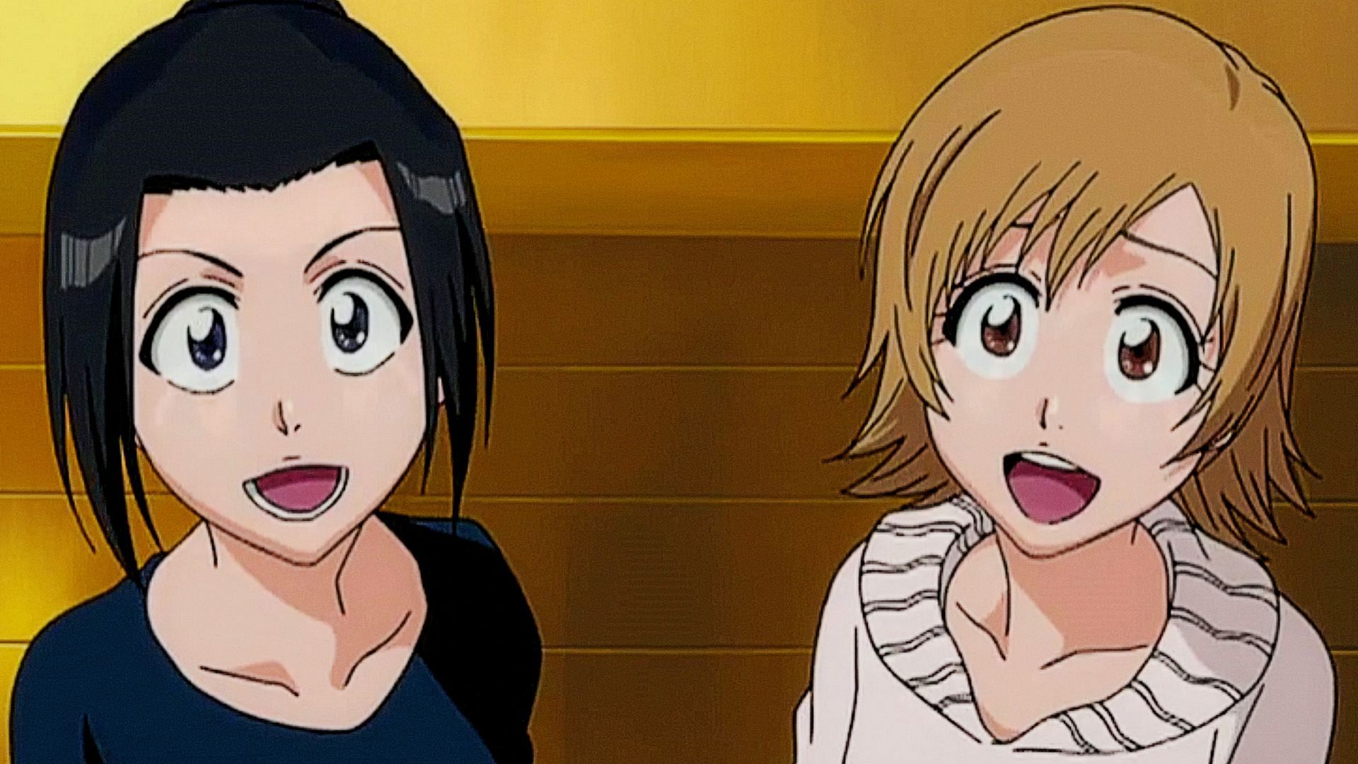 Karin and Yuzu as seen in Bleach (Image via Studio Pierrot)