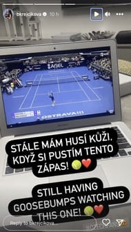 Krejcikova's Instagram story