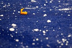 WATCH: It's raining snowballs in Dolphins vs Bills game and Miami isn't happy