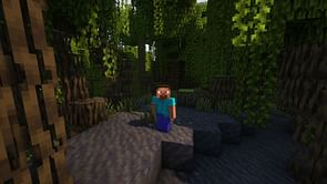 5 best Minecraft 1.19.3 seeds for mangrove swamps