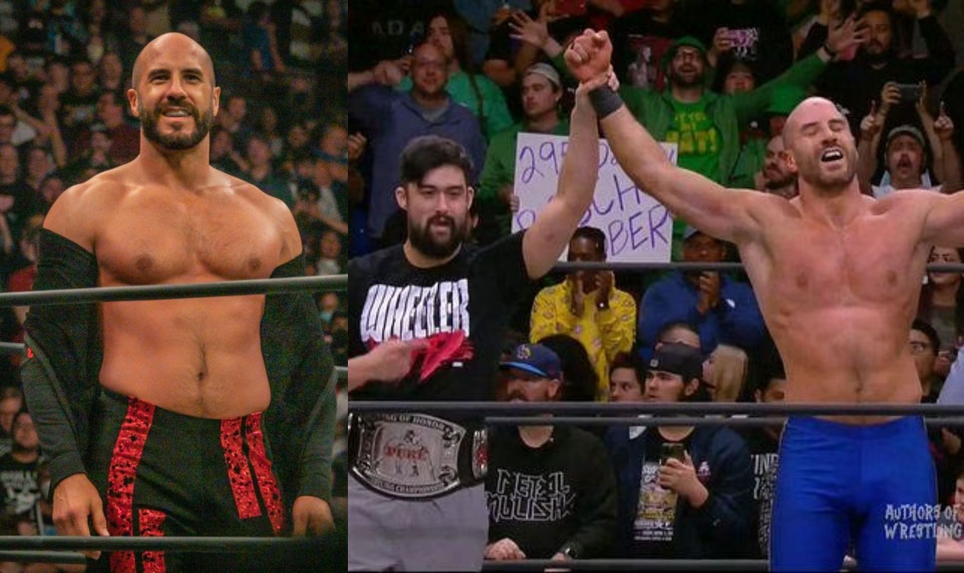 क्लॉडियो कास्टगनोली ने WWE दिग्गज को हरा दिया 