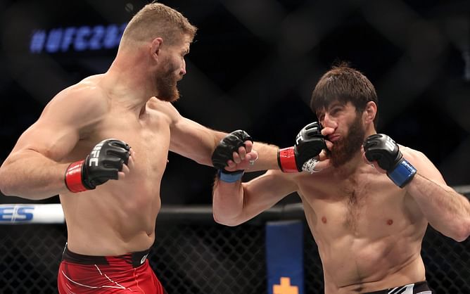 Jan Blachowicz feels "draw was fair," tells off Magomed Ankalaev for post-UFC 282 behavior