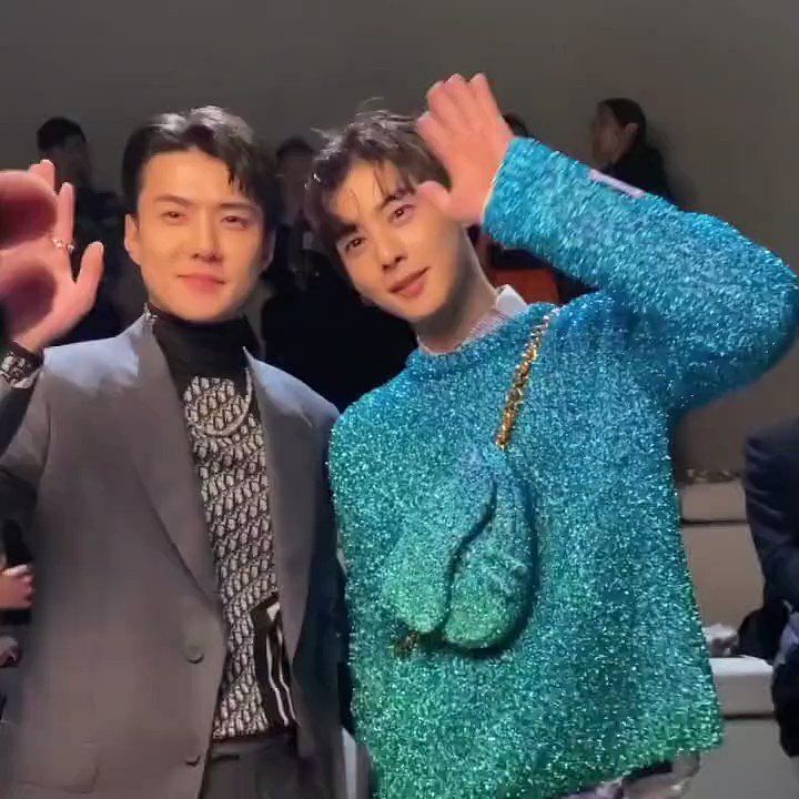 Cha Eun woo Cha Eun woo and Sehun graced the Dior s Men Fall 2023