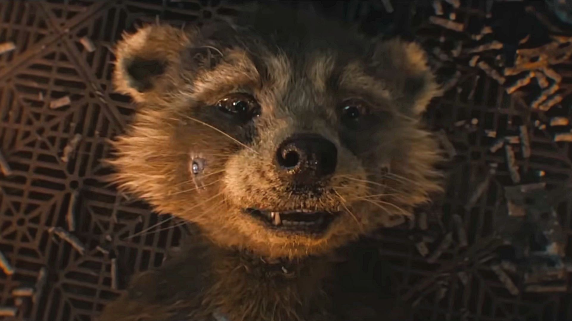 Will Rocket die in Guardians of the Galaxy Vol. 3?