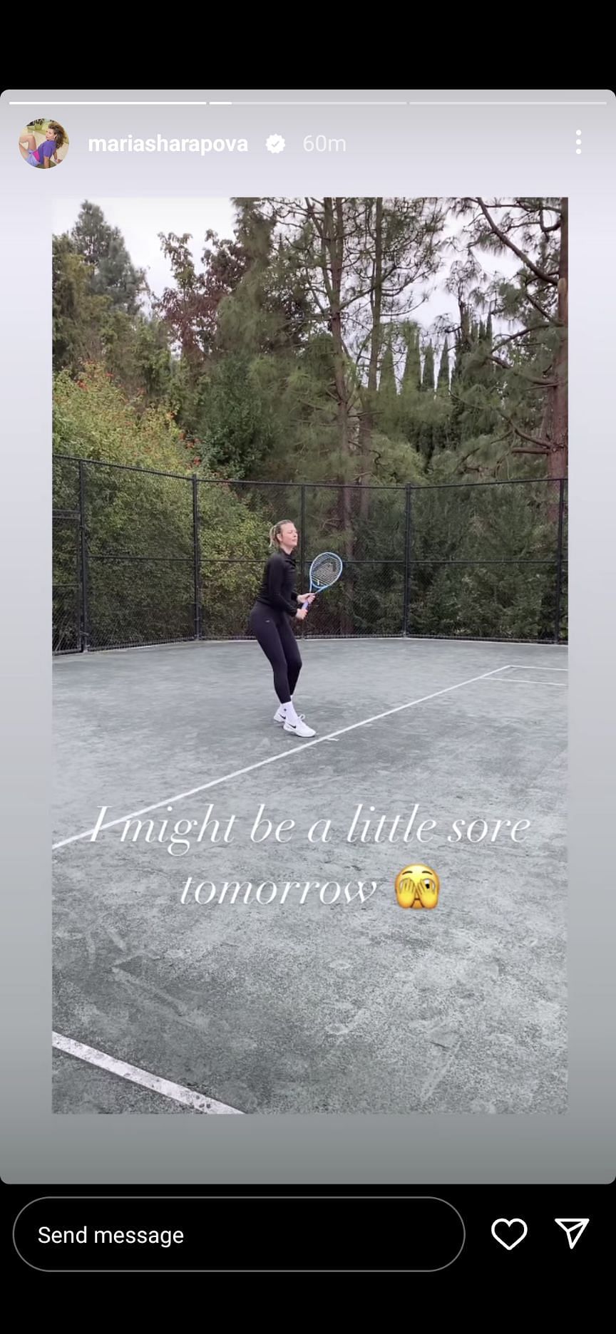 Sharapova's Instagram story