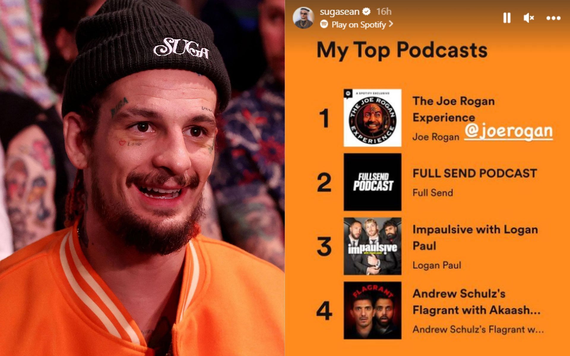 Joe Rogan Experience: Spotify No. 1 Podcast in 2021 (Podcast Roundup)