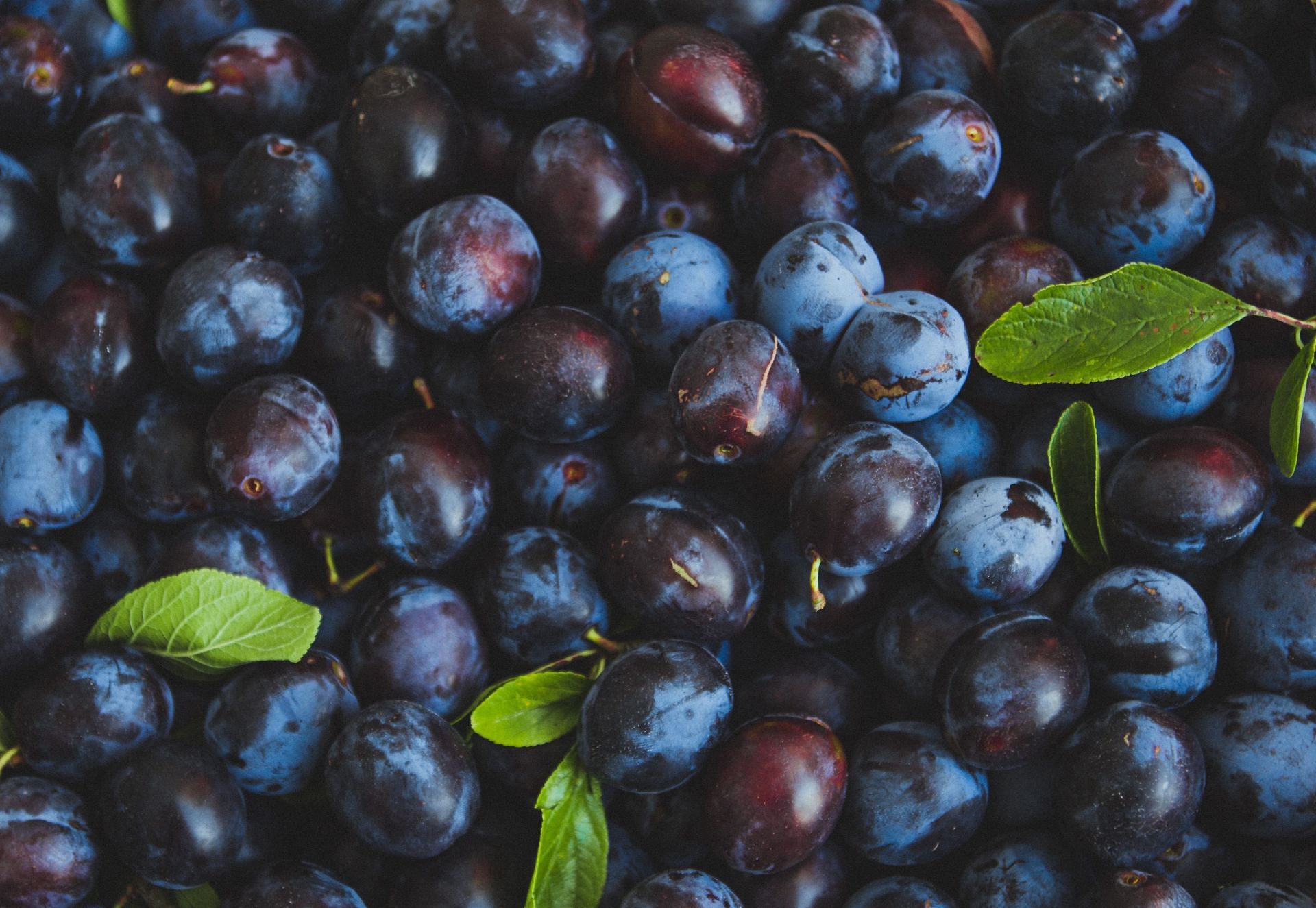 Plums are rich in nutrients (Image via Unsplash/jasper benning)