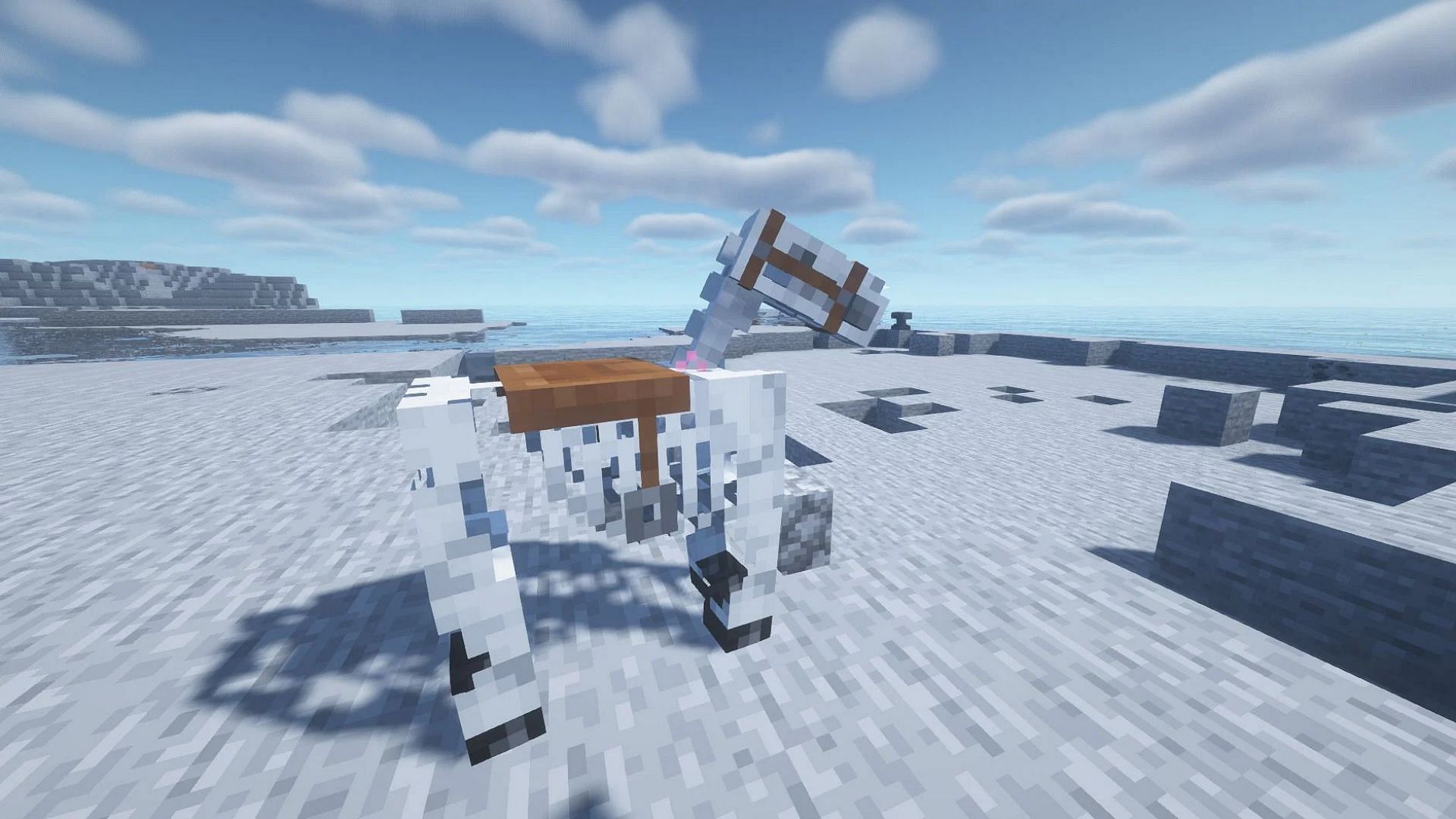 Skeleton horses can be tamed and ridden in Minecraft 1.19 Java Edition only (Image via Mojang)