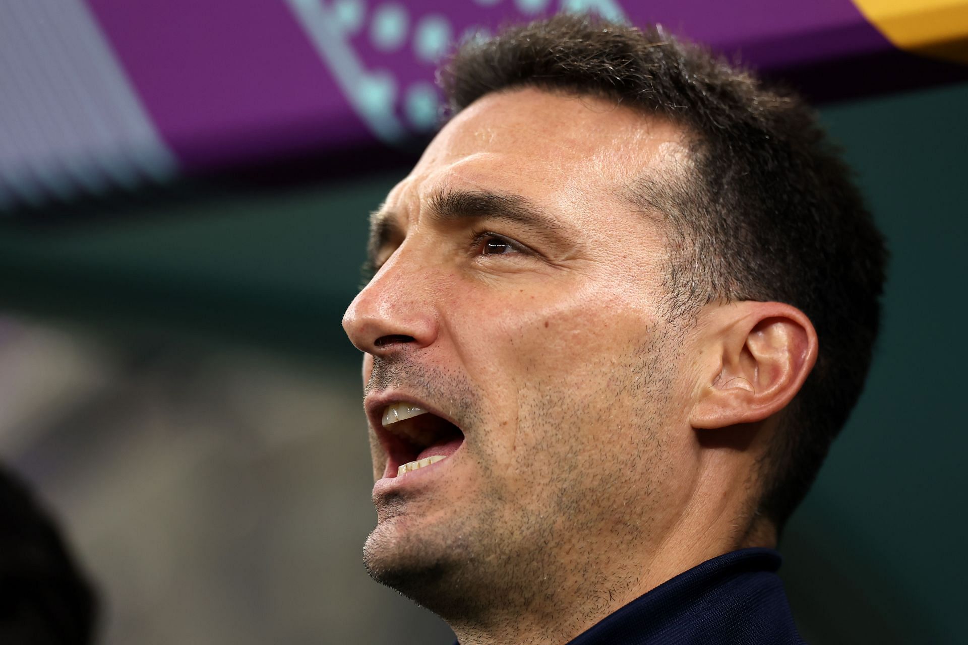 Scaloni is the head coach of Argentina