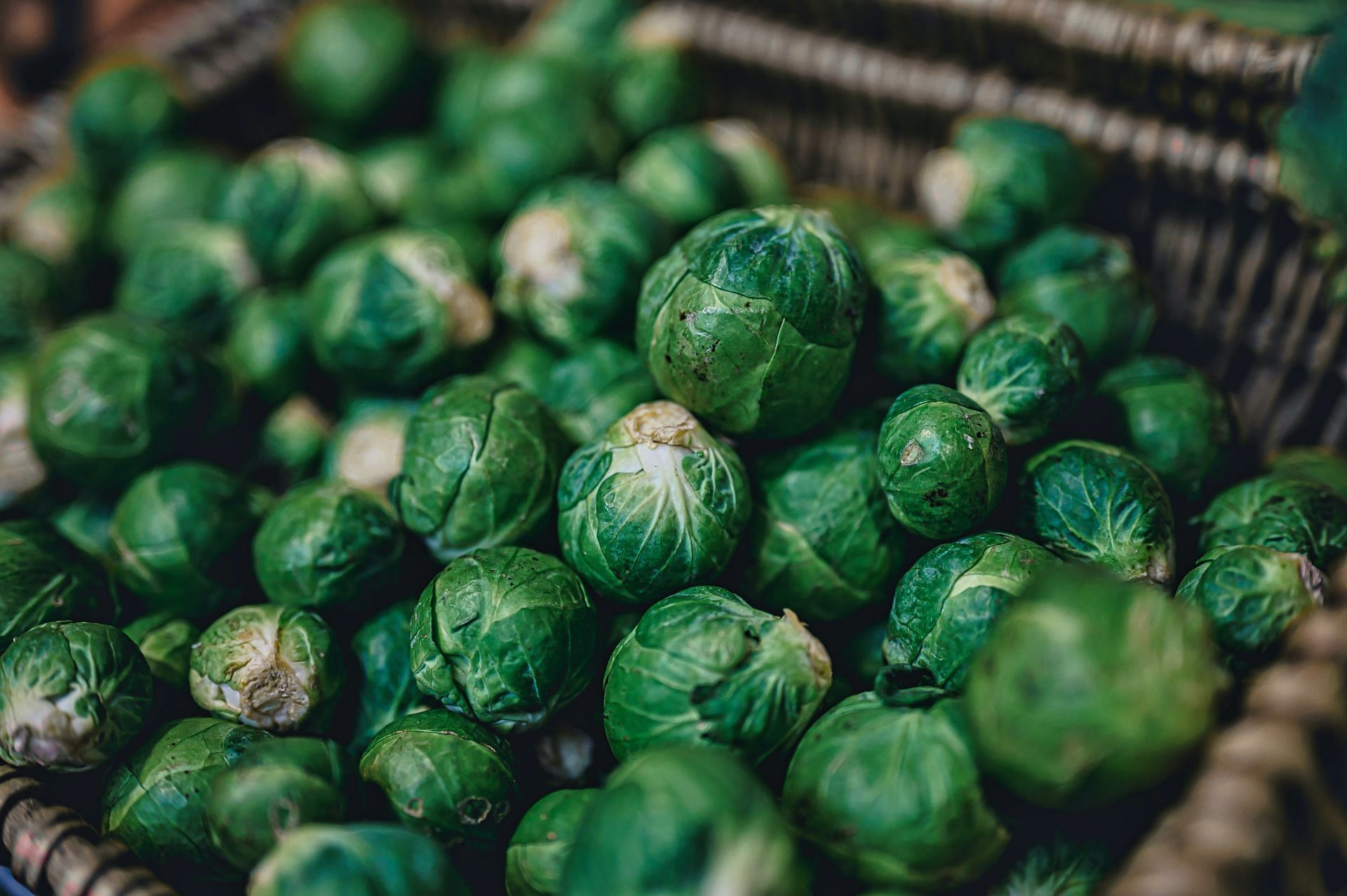 Brussels sprouts nutrition facts includes antioxidant properties (Image via Unsplash/Jez Timms)