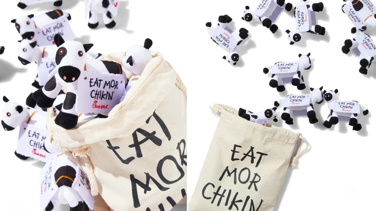 ChickfilA merchandise Products, prices, and other details explored
