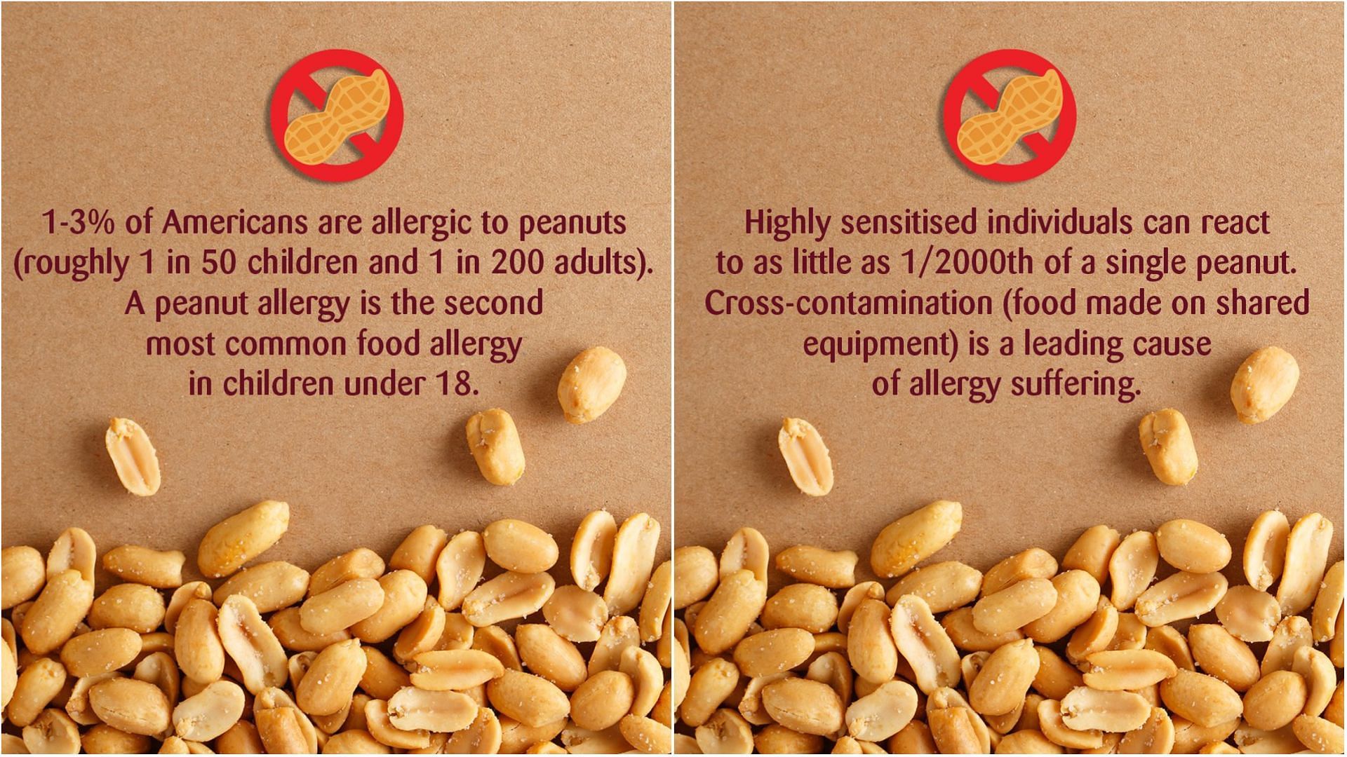 infographic for Peanut related allergies which could be triggered after the consumption of the wrongfully labeled Cranberry Sweets&rsquo; Mint Meltaways candy (Image via Science Museum of Virginia)