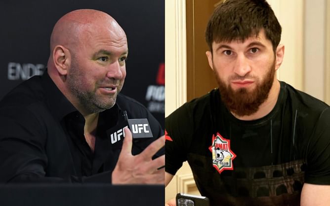 BREAKING: Magomed Ankalaev ignored as Dana White reveals next light heavyweight title match-up