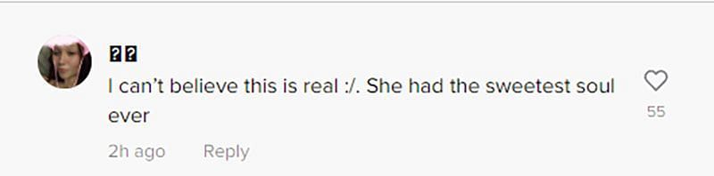 A comment expressing shock over Ali&#039;s death (Image via TikTok/ @??)