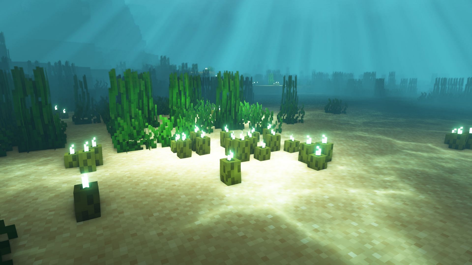Naturally generated sea pickles in Minecraft (Image via Mojang)
