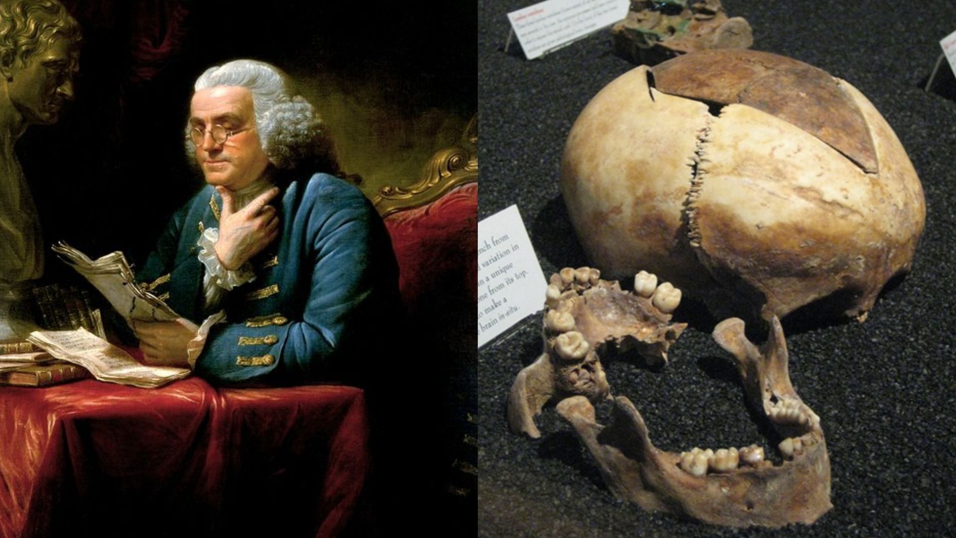 In 1998, more than 1200 bones were found at Ben Franklin