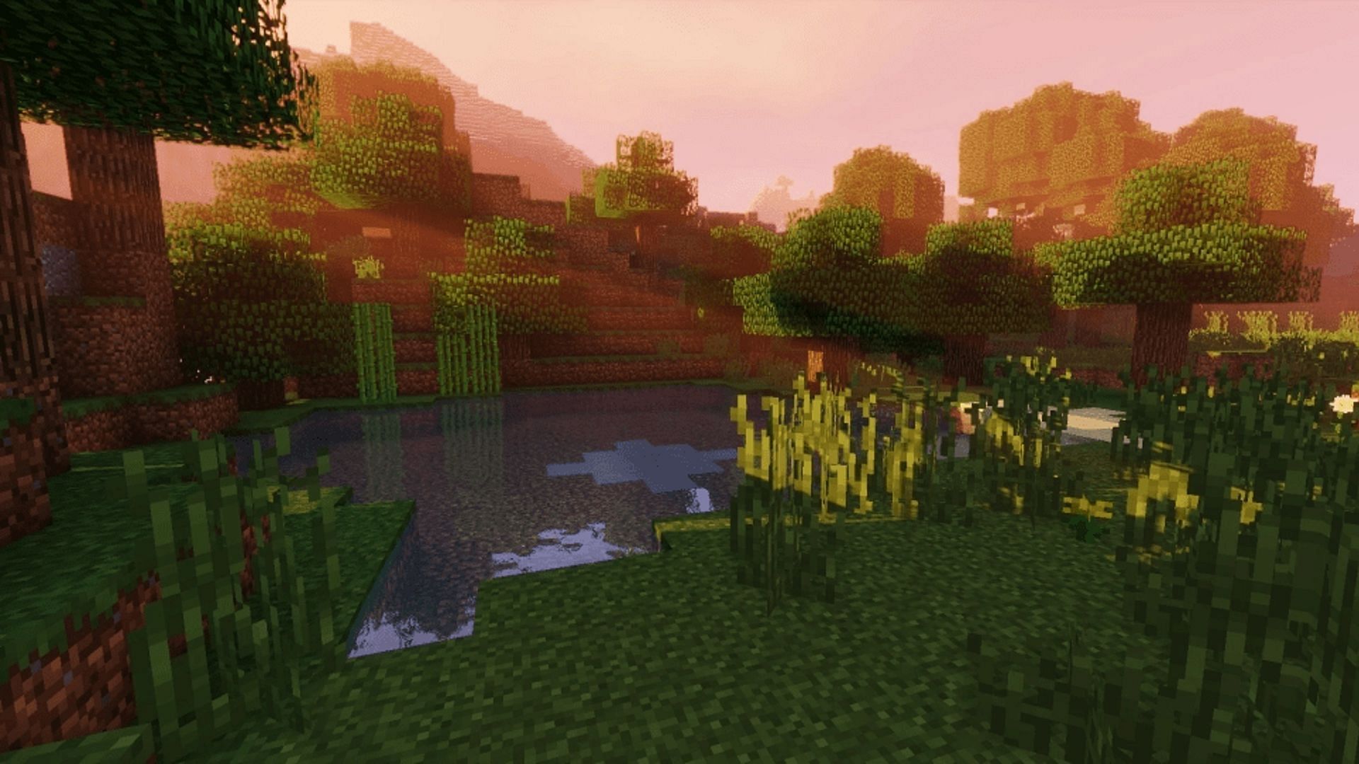 A quiet forest by the water rendered in Sildur&#039;s Vibrant Shaders (Image via Sildur/Minecraftshader.com)
