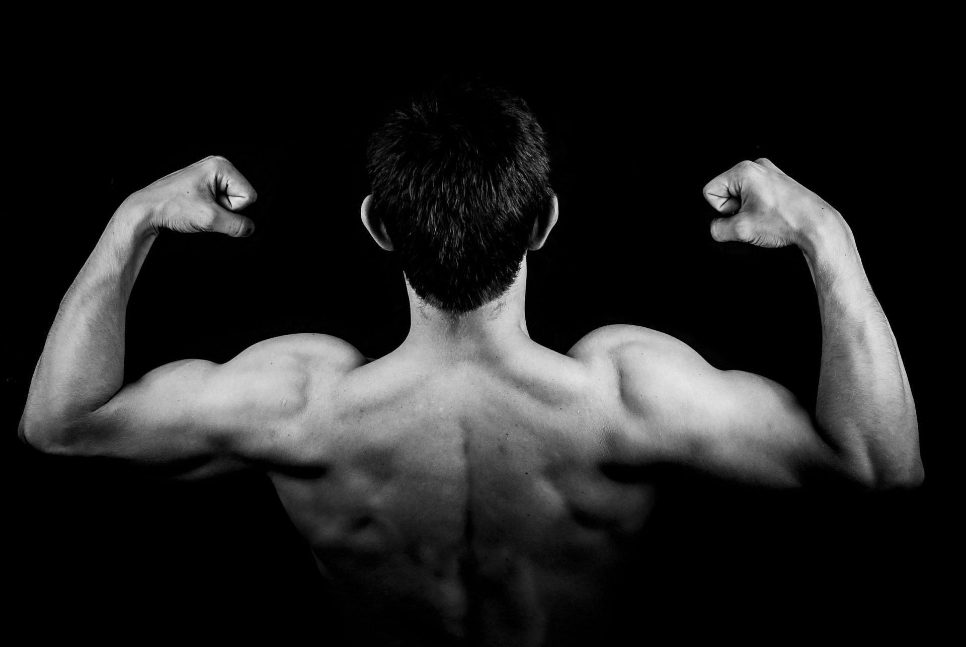 Upper-body muscles are important for lifting and carrying strength (Image via Pexels @Pixabay)