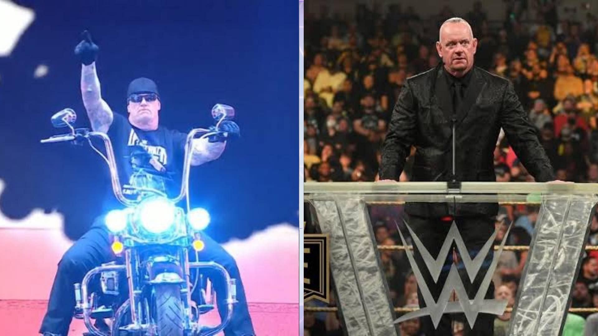Some fans hope to see The Undertaker return to WWE for one more match
