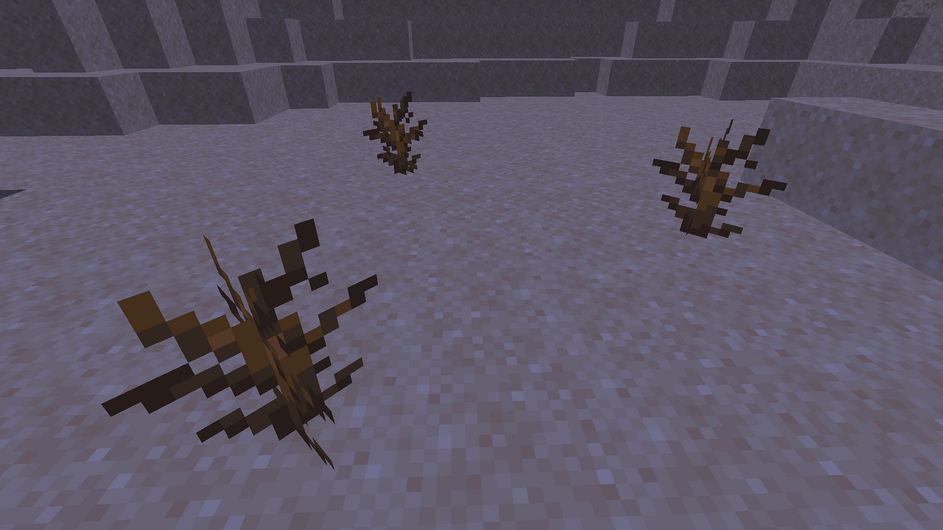 Dead bushes (Image via Mojang)