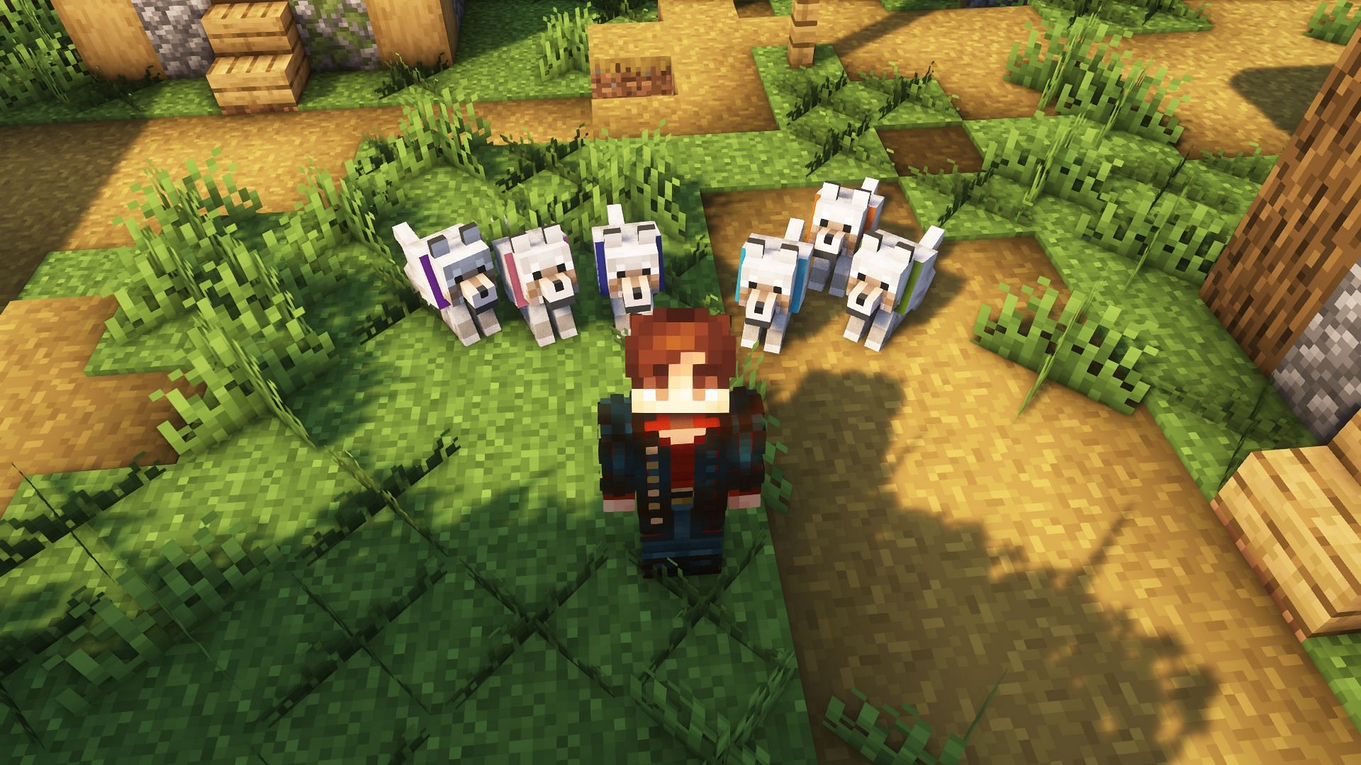 Many tamed wolves in the game (Image via Mojang)